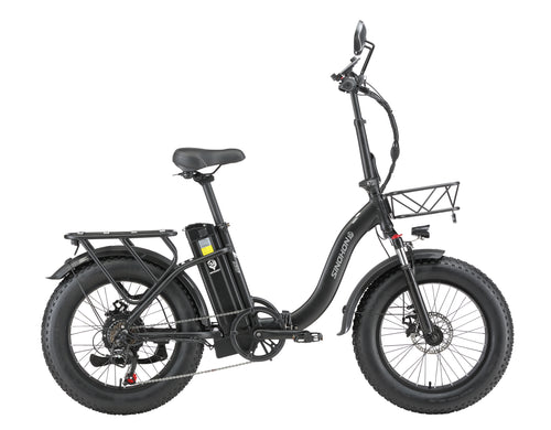 4.0 Fat Tire Electric Bike, 20 Inch Adult Electric Bike, 1000W Peak Motor, 48V 15AH Lithium Battery, 7 Speed Variable, Commuter Electric Bike, UL2849